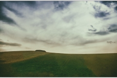 On the Road III