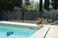 SWIMMINGPOOL