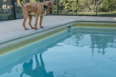 SWIMMINGPOOL