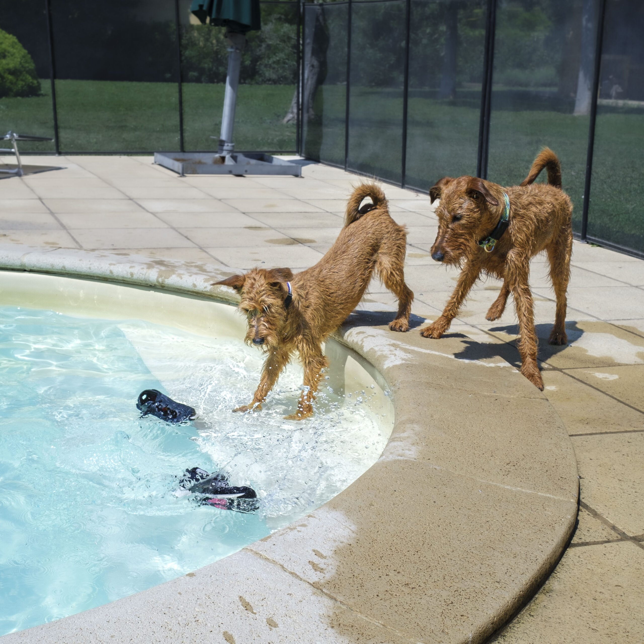 Spiel am Swimming Pool
